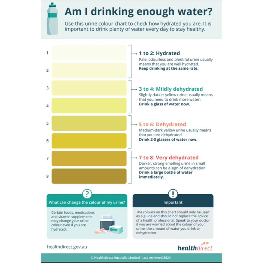 graphical user interface, application