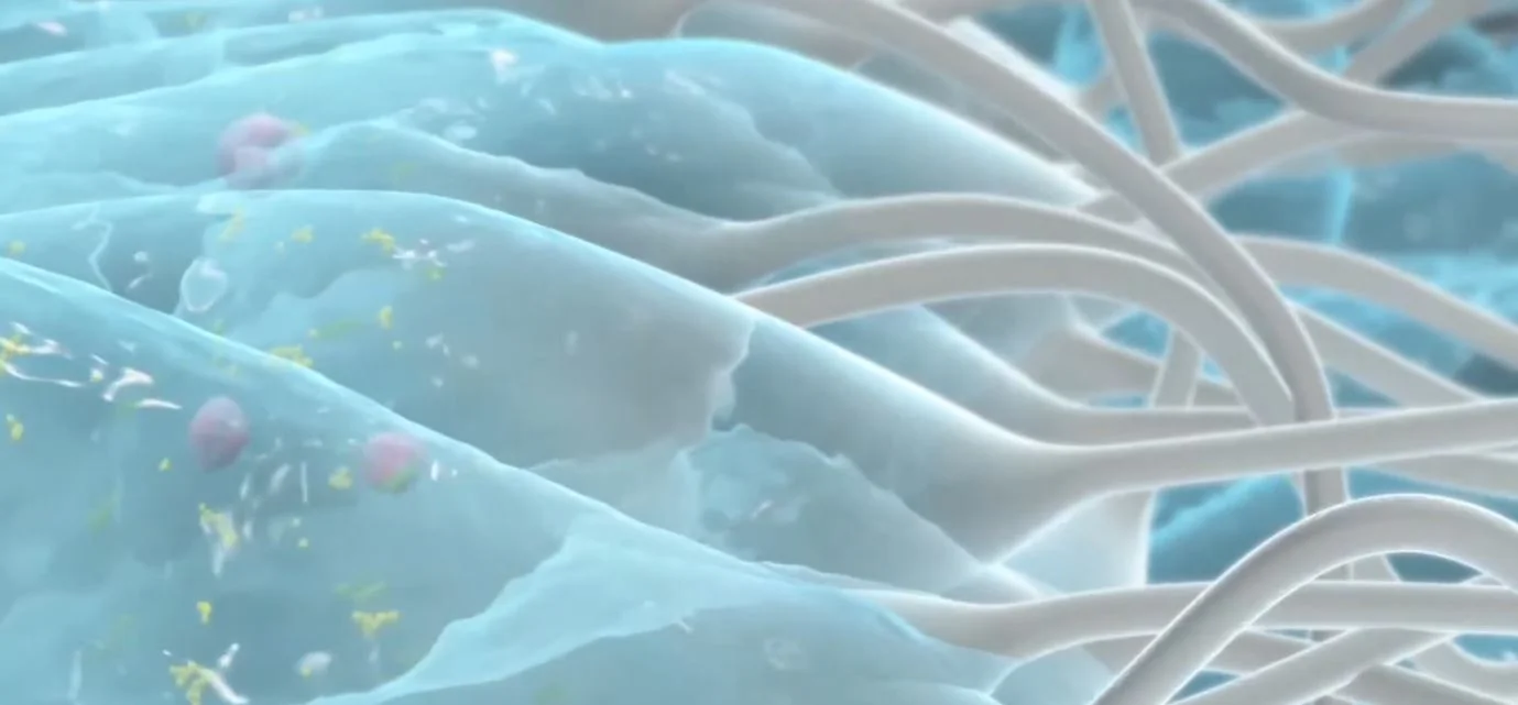 a person swimming in water