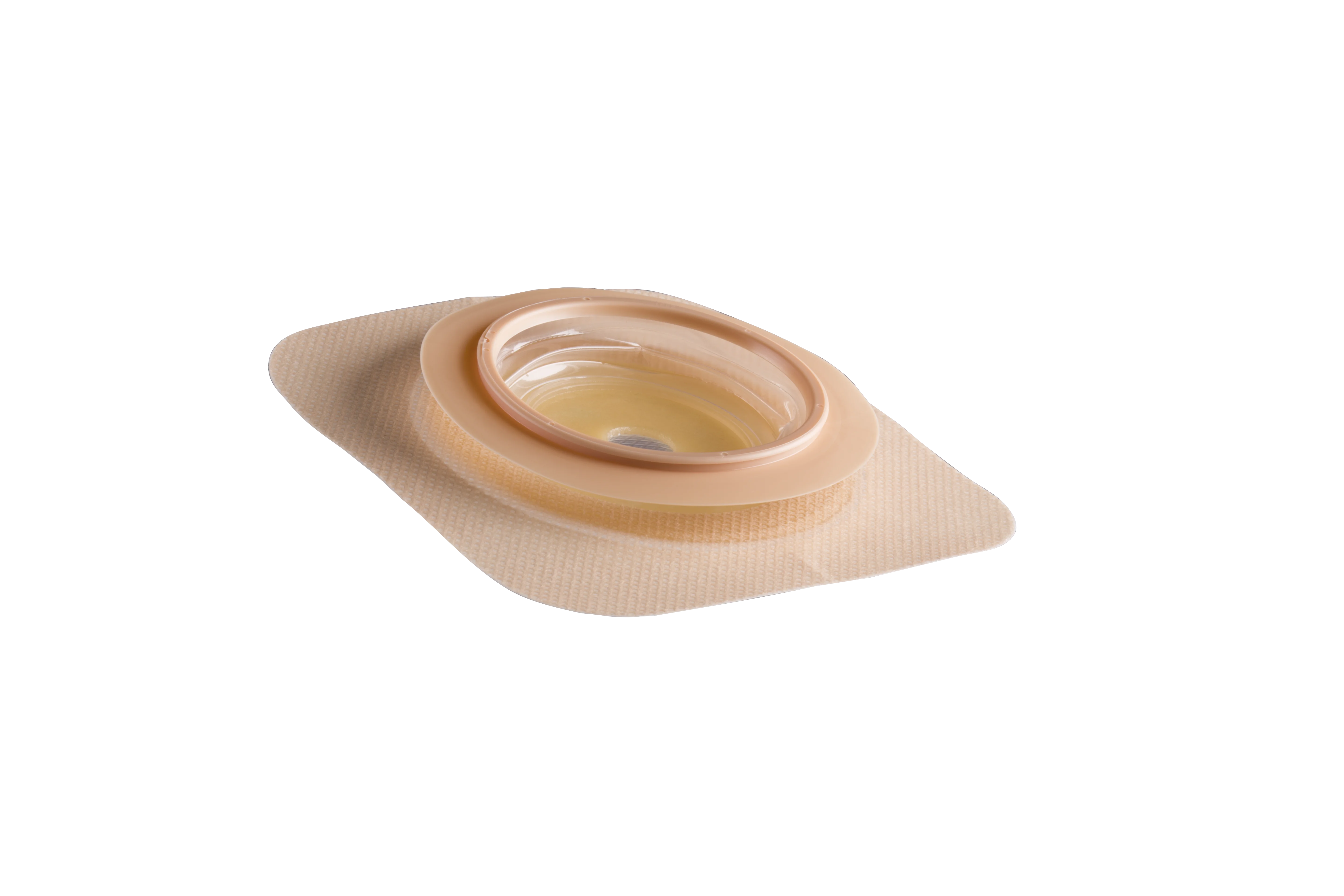 Akkordion Basisplatte