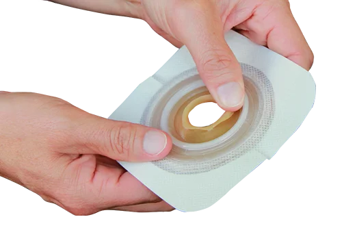 a person holding a roll of toilet paper