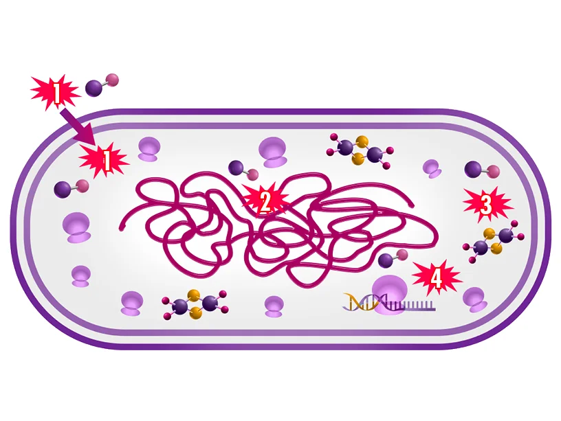 Ein buntes Puzzlespiel